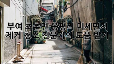 부여 초촌면 응평리 미세먼지 제거 청소 전문가의 도움 받기