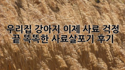 우리집 강아지, 이제 사료 걱정 끝! 똑똑한 사료살포기 후기