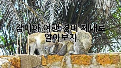 감비아 여행 경비, 제대로 알아보자!