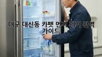 대구 대신동🏡 카펫 먼지 제거🧹 완벽 가이드!